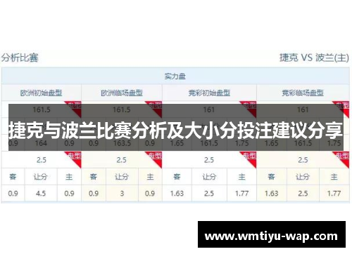 捷克与波兰比赛分析及大小分投注建议分享