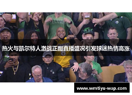热火与凯尔特人激战正酣直播盛况引发球迷热情高涨