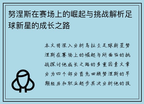 努涅斯在赛场上的崛起与挑战解析足球新星的成长之路